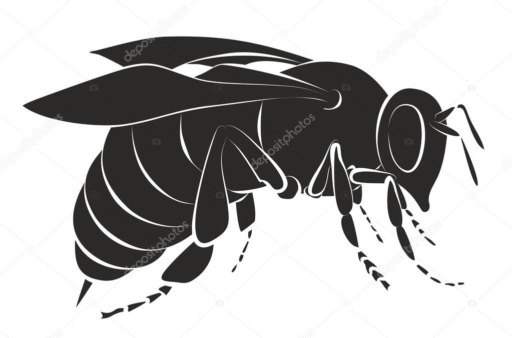 Download Silhouette of bee. — Stock Vector © Designer_an #154563458