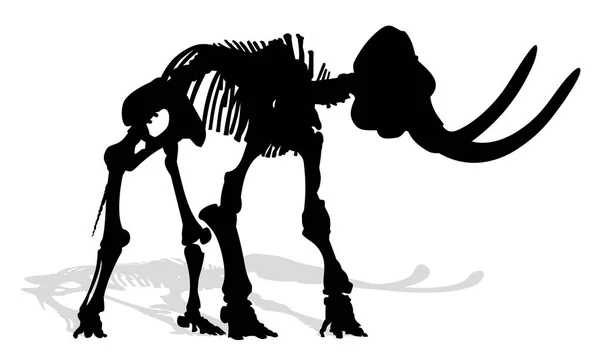 Squelette de Mammouth . — Image vectorielle