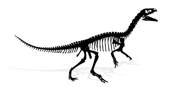The Dinosaur skeleton. — Stock Vector