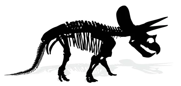 Skelet van dinosaur. — Stockvector