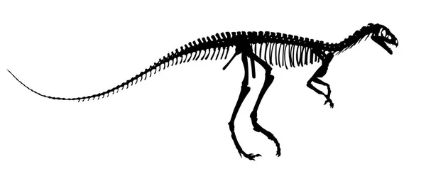 Lo scheletro del dinosauro . — Vettoriale Stock