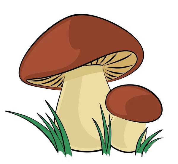 Os cogumelos de Floresta . —  Vetores de Stock
