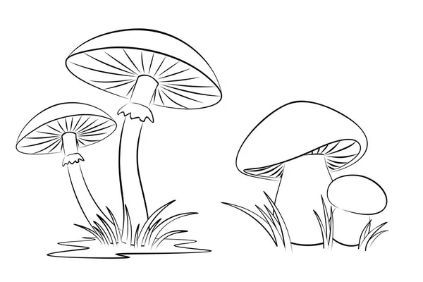 Croquis des champignons . — Image vectorielle