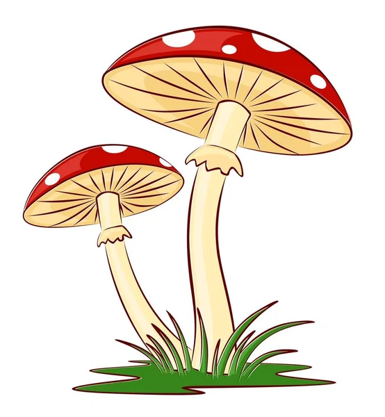Croquis des champignons . — Image vectorielle