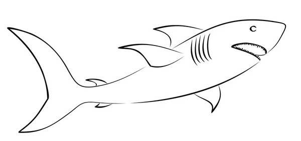 Sketch Big Shark — Stock Vector