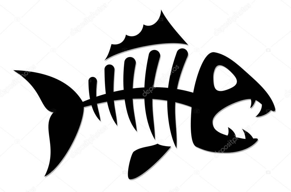 Skeleton of predatory sea fish.