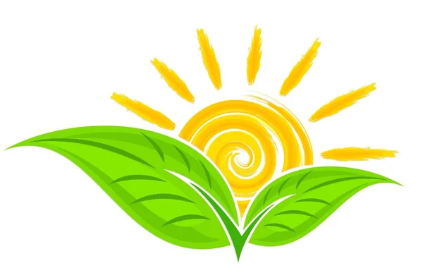 Güneş Ile Yeşil Bitki Logosu — Stok Vektör