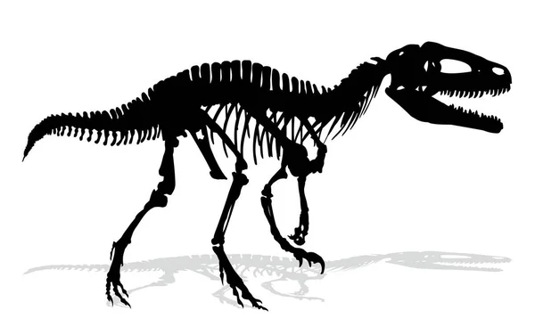 Skelet Van Oude Grote Dinosaurus — Stockvector