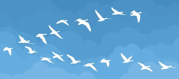 Vlucht Van Vogels Lucht — Stockvector