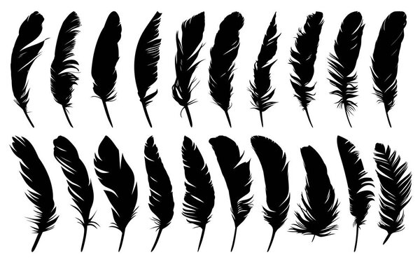 Установить перья различных птиц.