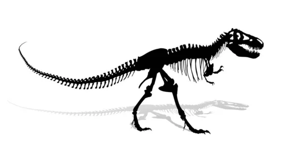 Den Forntida Dinosauriens Skelett — Stock vektor