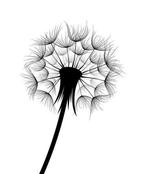 Field Dandelion Flower Sketch — 스톡 벡터