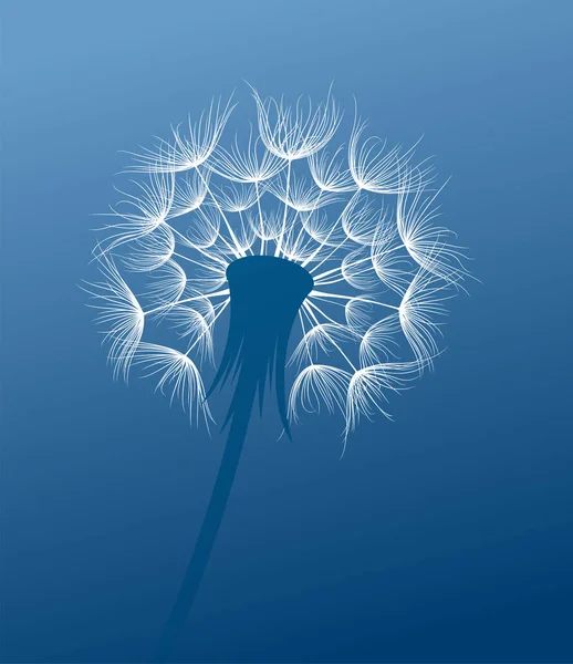 Field Dandelion Flower Sketch — 스톡 벡터