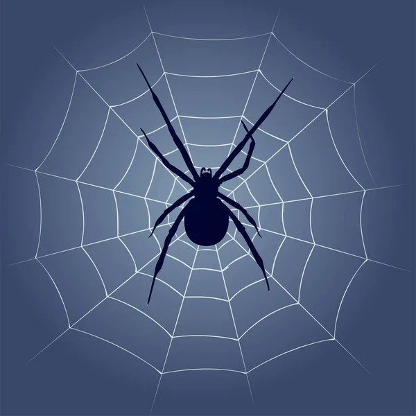 Fundo Com Silhueta Aranha Teia — Vetor de Stock