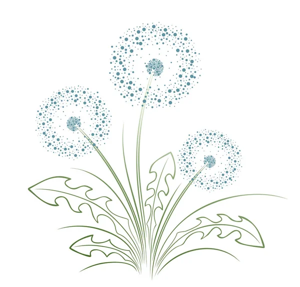 Tohumları Olan Bir Karahindiba Çiçeği — Stok Vektör