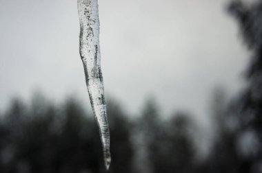 Kasvetli buz saçakları eriyen kar. Elveda kış, merhaba bahar.