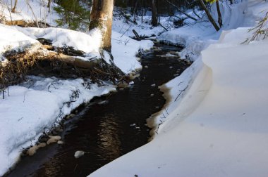 Orman kar ve buz arasında bir yol açıyor..