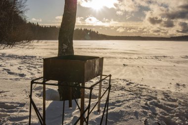 Gölde daha Brezilyalı.
