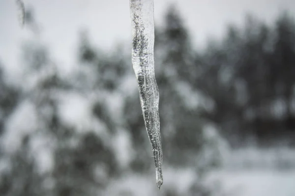 Glaces sombres qui fondent la neige. Adieu l'hiver, bonjour le printemps — Photo