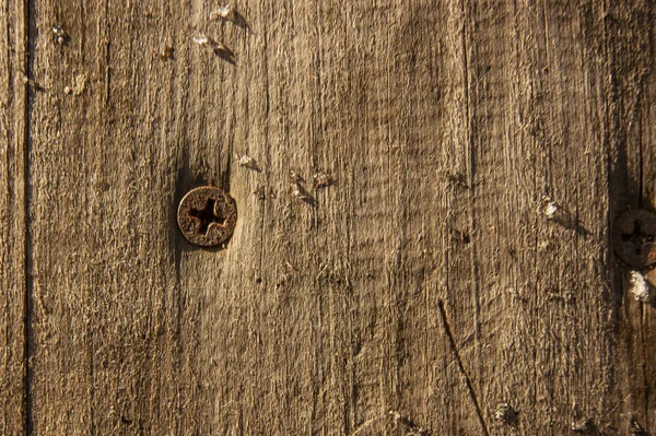 Deska drewniana, tło teksturalne, natura. — Zdjęcie stockowe