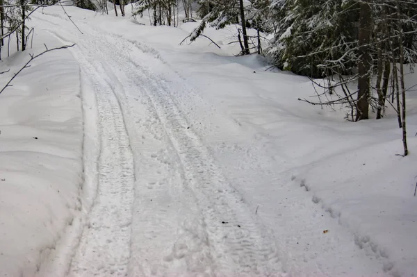 Camino cubierto de nieve a través del bosque . — Foto de Stock