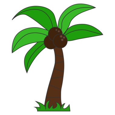 Hindistan cevizli palmiye ağacı