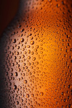 Boş kahverengi biranın üstüne at.