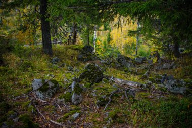 Sonbaharda ural Dağları