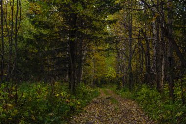 Sonbaharda ural Dağları