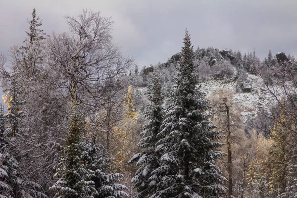 Winterliche Berglandschaft Gebirge — Stockfoto