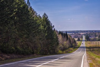 Yol orman Sibirya Rusya