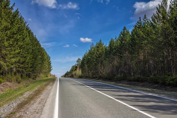 Yol orman Sibirya Rusya