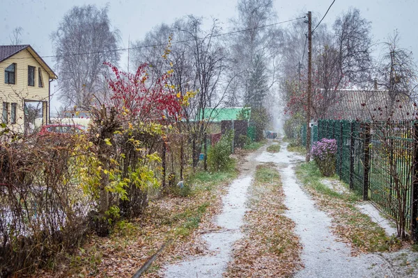 Ősz Kertben Parcellák Erdőszél Közelében Város Tyumen Oroszország — Stock Fotó