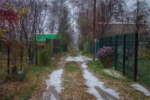 Herbst Auf Den Gartengrundstücken Nahe Der Stadt Tjumen Russland — Stockfoto