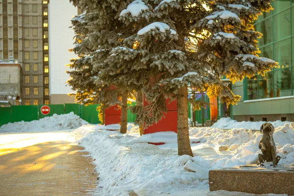 Inverno Nella Città Tyumen Situato Nella Siberia Occidentale Russia — Foto Stock