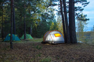 Tura Nehri yakınında şehir Tyumen bulunan Batı Sibirya, Rusya üzerinde bir ormanda kamp
