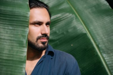 Büyük muz yapraklı bir adamın kavramsal portresi..