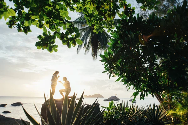 The guy makes an offer to the girl on a large stone on the seashore at sunset