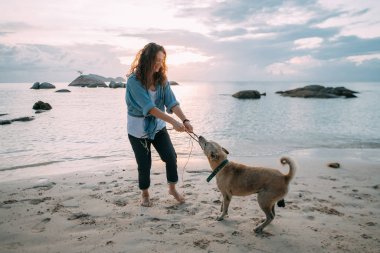 Kız gün batımında sahilde köpekle oynarken eğleniyor..