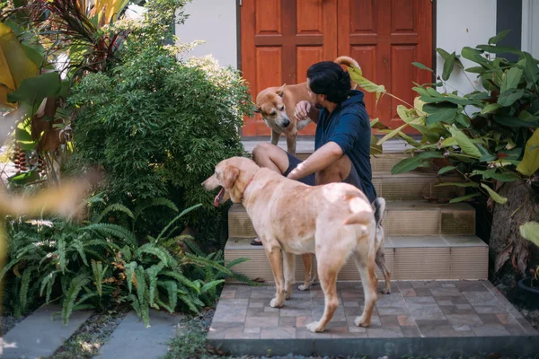 Ein Mann mit Hunden sitzt auf der Veranda eines Hauses in einem tropischen Garten — Stockfoto