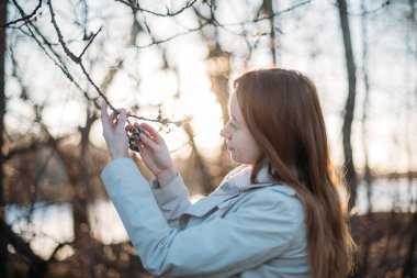 Gün batımında erken baharda söğüt dalları olan bir kızın portresi. Close. Çiçek açan söğüt ile güneşte açık havada Genç kadın
