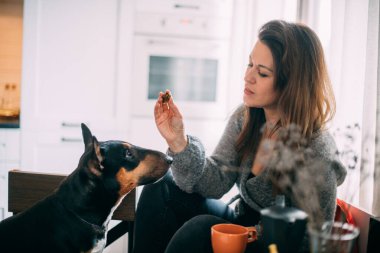 Bir kadın evdeki oturma odasında bir köpekle oynuyor. Genç bir kız boş zamanlarında emirler verir ve Rottweiler çalar. Köpek hanımefendiyle oynuyor, nefis bir şeyi hak ediyor.