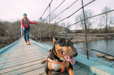 Bir kadın asma köprüde köpeğiyle birlikte nehri geçiyor. Ormanın arka planında tahta bir köprüde boğa teriyeri olan genç bir kız.