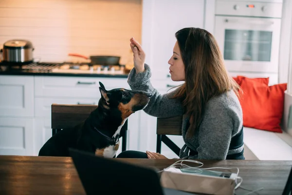 Una Mujer Juega Con Perro Sala Estar Casa Una Joven —  Fotos de Stock