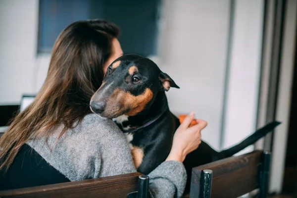 Una Mujer Juega Con Perro Sala Estar Casa Una Joven —  Fotos de Stock