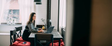 Bir kadın çalışıyor, internet üzerinden evden canlı yayın yapıyor. Kız konuşur, ders verir, internette blog yazar. Kız blogcu bir blog konusu yazdı.