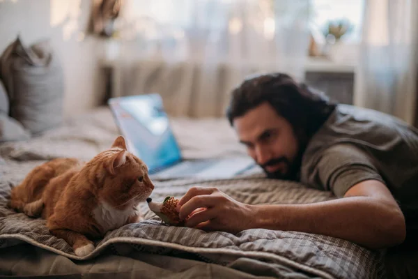 A man works on a laptop and plays with a cat on a sofa. A young quarantined guy is working at home, with a red cat lying nearby. Remote work, work from home.