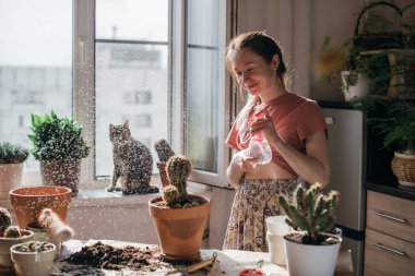 Genç bir kadın evde bitki ve su kaktüsünü yeniliyor. Evinde ev bitkileri olan güzel bir kız. Bahar saksısı çiçek bakımı