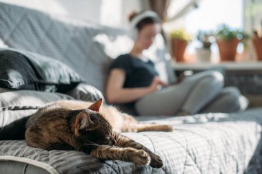 Bir kedi ve bir kız ellerinde telefonla bir kanepede oturuyorlar. Genç bir kadın evde dinleniyor, kulaklıkla müzik dinliyor, akıllı telefondan video izliyor.