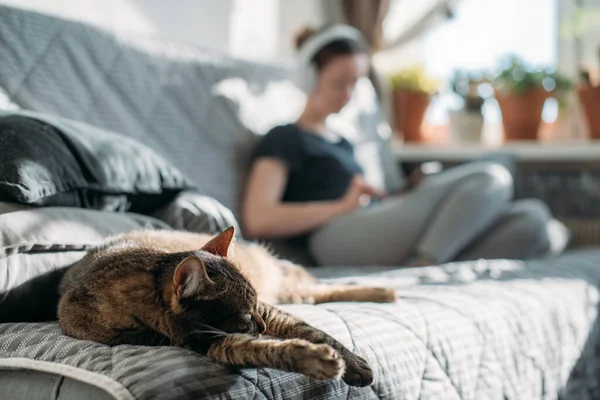A cat and a girl are sitting on a sofa with a phone in their hands. A young woman is relaxing at home, listening to music on headphones, watching videos on a smartphone
